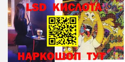 дмт Можга