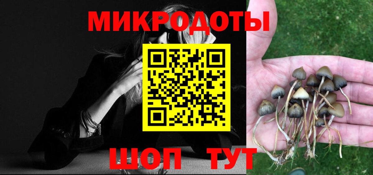 Галлюциногенные грибы ЛСД Шадринск